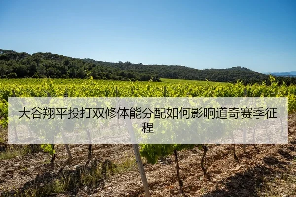 大谷翔平投打双修体能分配如何影响道奇赛季征程