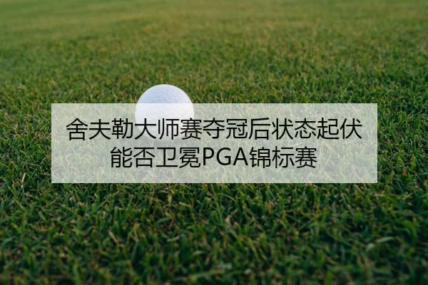 she-fu-lei-da-shi-sai-duo-guan-hou-zhuang-tai-qi-fu-neng-fou-wei-mian-jin-biao-sai-2-670.jpg