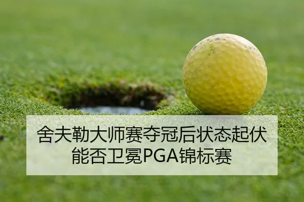 she-fu-lei-da-shi-sai-duo-guan-hou-zhuang-tai-qi-fu-neng-fou-wei-mian-jin-biao-sai-3-238.jpg