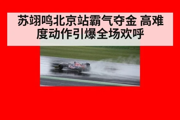 苏翊鸣北京站霸气夺金 高难度动作引爆全场欢呼